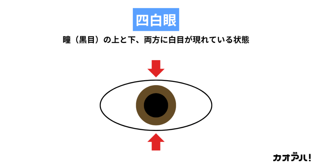四白眼の図解